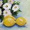 Art: Daisies and Lemons by Artist Torrie Smiley