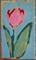 Art: Pink Tulip in Blue #2 by Artist Jennifer Lommers
