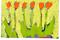 Art: Six Tiny Orange Tulips by Artist Jennifer Lommers