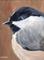 Art: Chubby Chickadee by Artist Aimee L. Dingman