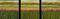 Art: Tulip Landscape in Green & Orange Triptych by Artist Jennifer Lommers