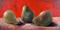 Art: Pearalegals by Artist Catherine Darling Hostetter