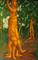 Art: trees dancing copy 3 cropped best.jpg by Artist Virginia Ann Zuelsdorf