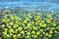 Art: Lime Green Flowers (s) by Artist Luba Lubin