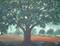 Art: Shadow Oak by Artist Virginia Kilpatrick