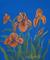 Art: Fauve Irises by Kilpatrick by Artist Virginia Kilpatrick