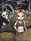 Art: Treasure of the Bone Dragon by Artist Jasmine Ann Becket-Griffith