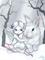 Art: Snow Bunny by Artist Jasmine Ann Becket-Griffith