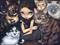 Art: It's All About the Cats by Artist Jasmine Ann Becket-Griffith
