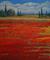 Art: Champ De Pavot by Artist Virginia Kilpatrick
