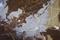 Art: TRUTH (SOLD) by Artist Dawn Hough Sebaugh