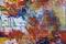 Art: VAIN (sold) by Artist Dawn Hough Sebaugh