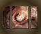 Art: The Freedom Within SOLD by Artist Kathy Kohl