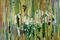 Art: SPRING FEVER (SOLD) by Artist Dawn Hough Sebaugh
