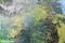 Art: ILLUSION (SOLD) by Artist Dawn Hough Sebaugh