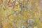 Art: MOJAVE (SOLD) by Artist Dawn Hough Sebaugh