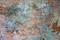 Art: OYSTER BAY (SOLD) by Artist Dawn Hough Sebaugh