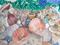 Art: Seashells by Artist Nata ArtistaDonna