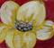 Art: Pretty Petals by Artist Windi Rosson