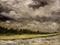 Art: February Rains by Artist Windi Rosson