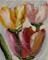 Art: Moms Tulips by Artist Windi Rosson
