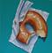 Art: Doughnut Touch by Artist Tabatha  Rhodes