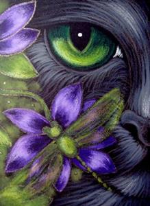 BLACK CAT DRAGONFLY & FLOWERS 2 - by Cyra R. Cancel from Gallery