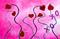 Art: XOXO by Artist Laura Barbosa