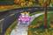 Art: Sunday Drive by Artist paintedbyevie