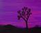 Art: Joshua Sunset by Artist Judith D. Porto