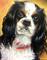 Art: Frankie king Charles Spaniel 2015 by Artist Marion Dutton