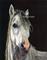 Art: Horse by Artist paintedbyevie