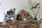 Art: Homage to H. Bosch    Detail by Artist Ruth Edward Anderson