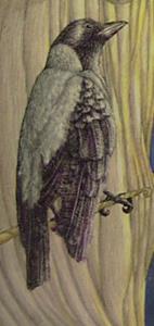 Detail Image for art Lady of the Trees