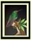 Art: Rufous-tailed Hummingbird (SOLD) by Artist Cyra R. Cancel
