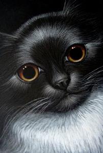 Detail Image for art TUXEDO CAT