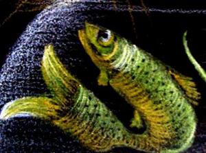 Detail Image for art Trout for Lunch