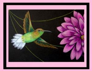 Detail Image for art Coppery-headed Emerald Hummingbird (SOLD)