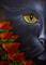 Art: BLACK CAT BEHIND THE POPPY FLOWERS  by Artist Cyra R. Cancel
