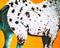 Art: Smorange Burberry Appaloosa by Artist 