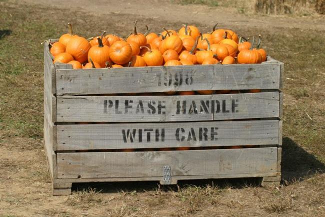 Art: please handle with care by Artist W. Kevin Murray