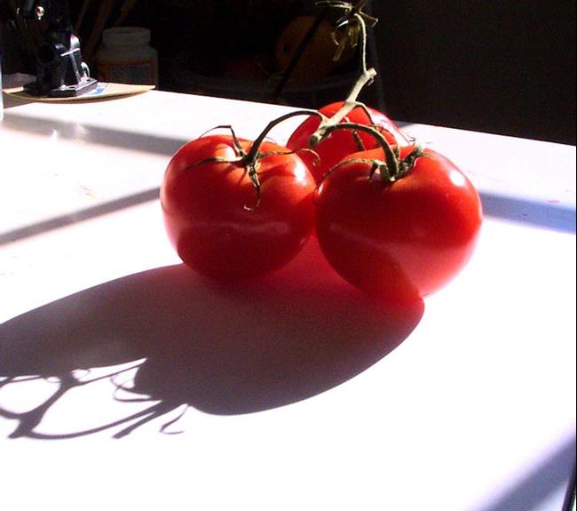 Art: Tomatoes in Sunlight by Artist Torrie Smiley