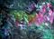 Art: Abstract Encaustic 11 by Artist Amanda Hone