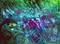 Art: Abstract Encaustic 13 by Artist Amanda Hone