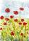 Art: FIELD POPPIES by Artist Ulrike 'Ricky' Martin