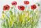 Art: POPPY PATCH by Artist Ulrike 'Ricky' Martin