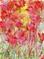 Art: Soft Abstract  Floral  by Artist Ulrike 'Ricky' Martin
