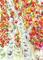 Art: FALL BIRCH TREES by Artist Ulrike 'Ricky' Martin