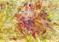 Art: ENCAUSTIC ABSTRACT # 149 by Artist Ulrike 'Ricky' Martin