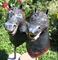 Art: A Pair of Black Horse Heads by Artist Patience